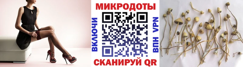 Купить закладки  Алексин  Галлюциногенные грибы Psilocybe 